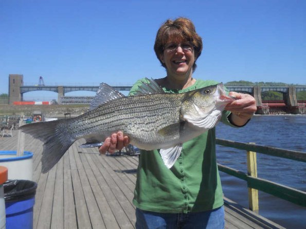 huge-whitebass-with-karen