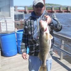 large-walleye