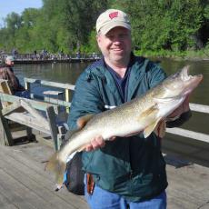 nice-walleye